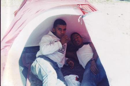 picnique ou palmerie